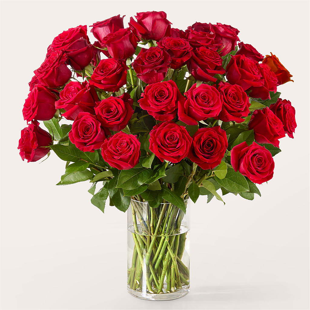 The One Red Rose Bouquet –  Rosemary Flower Shop Inc, Wappingers Falls NY