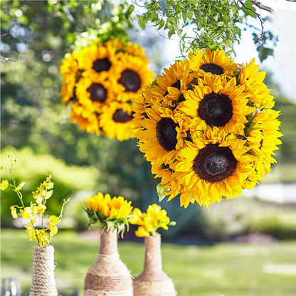 Sublime Garden Hanging Arrangement –  Rosemary Flower Shop Inc, Wappingers Falls NY