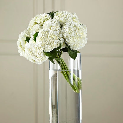 White Hydrangea Hand-Tied Bouquet –  Rosemary Flower Shop Inc, Wappingers Falls NY
