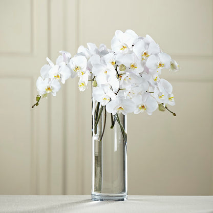 White Phalaenopsis Bouquet –  Rosemary Flower Shop Inc, Wappingers Falls NY